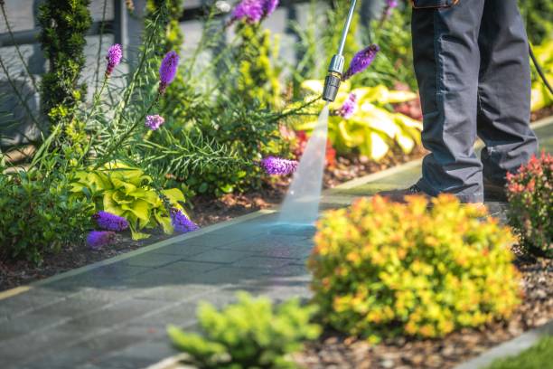 Best Boat and Dock Cleaning  in Devola, OH